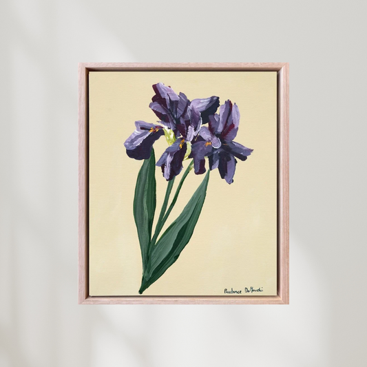 Single Iris | Blue Iris Canvas Print - Prudence De Marchi
