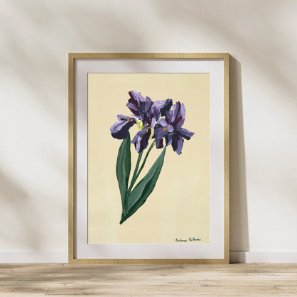 Single Iris - Prudence De Marchi