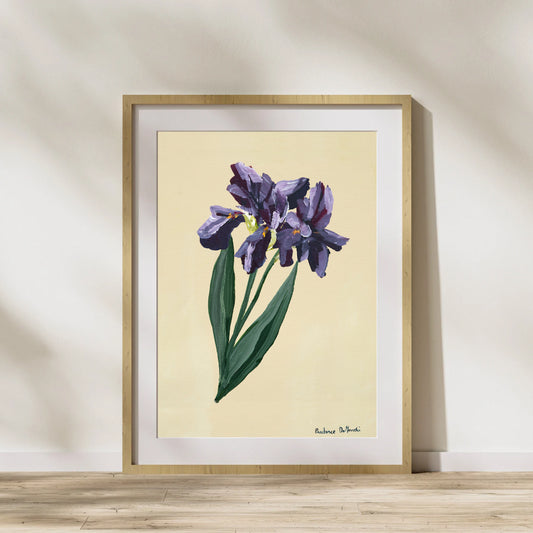 Single Iris - Prudence De Marchi