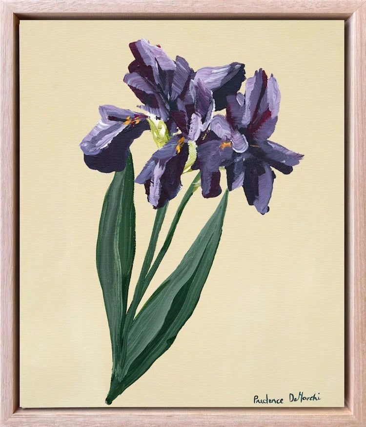 Single Iris | Blue Iris Canvas Print - Prudence De Marchi