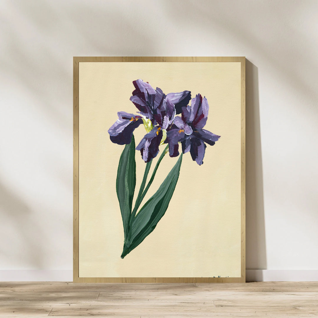 Single Iris - Prudence De Marchi